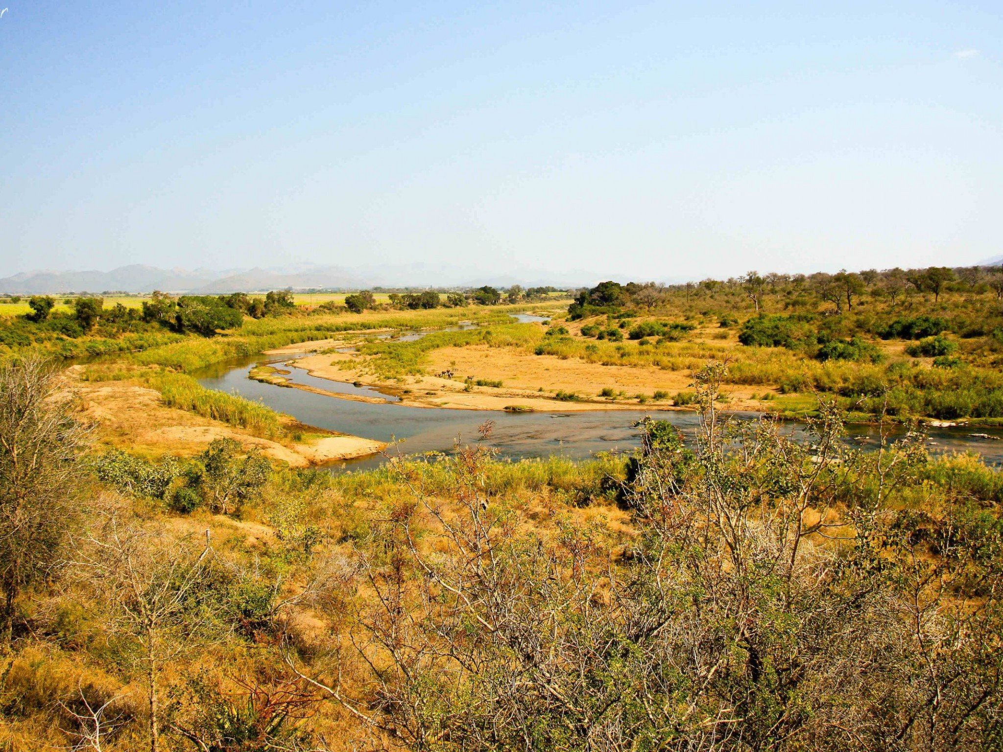 rio, Cocodrilo, Naturaleza Wallpaper