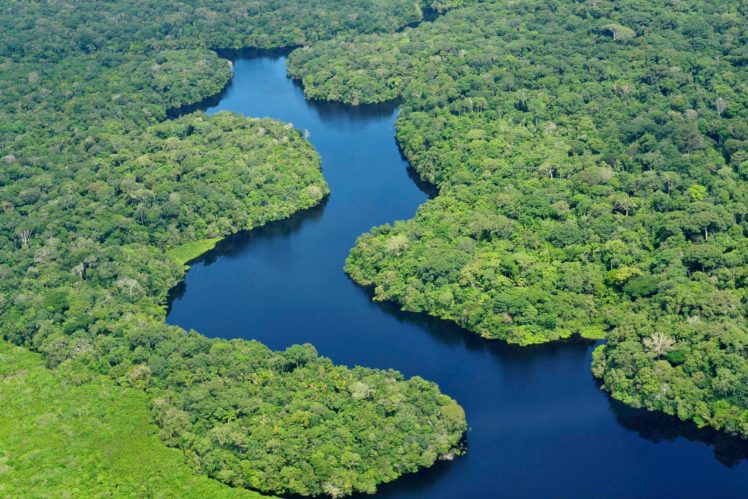 rio, Amazonas, Selva, Brasil, Naturaleza HD Wallpaper Desktop Background