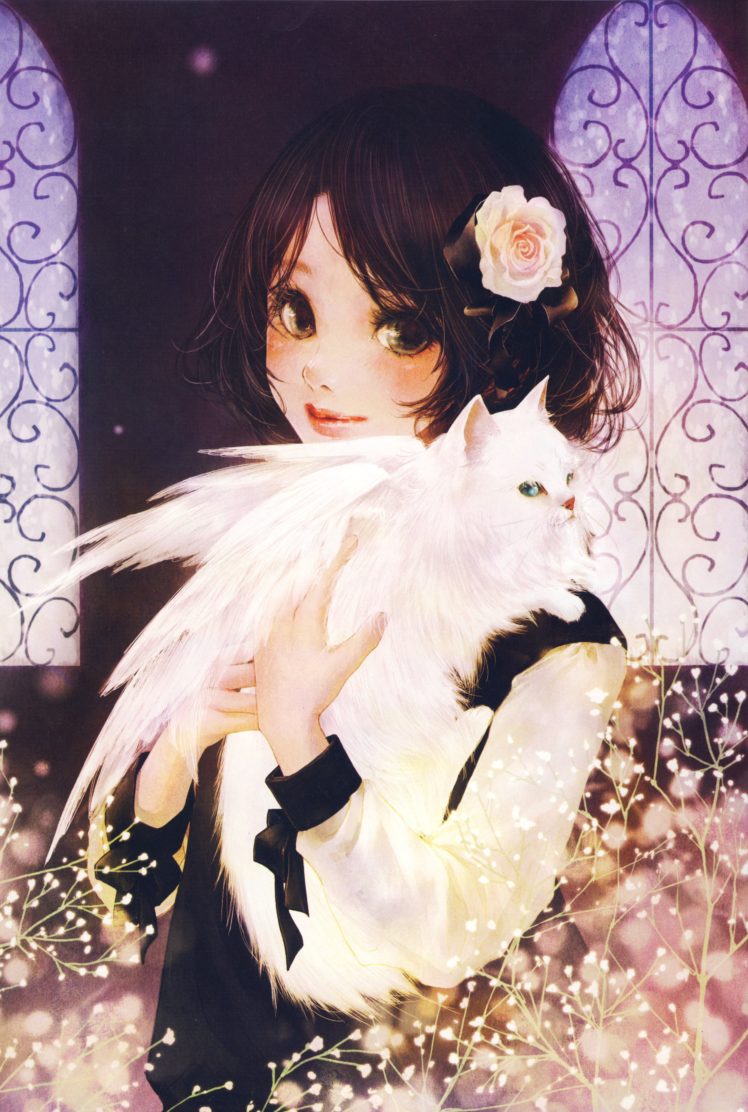 anime, Animal, Cat, Cute, Wings, Girl, Artwork, Beautiful, Short, Hair  Wallpapers HD / Desktop and Mobile Backgrounds