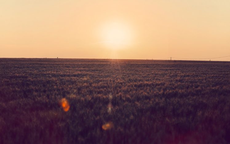 sunset, Nature, Sun, Grass HD Wallpaper Desktop Background