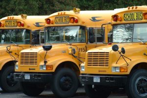autobuses, Escolares, Amarillos, Norteamericanos