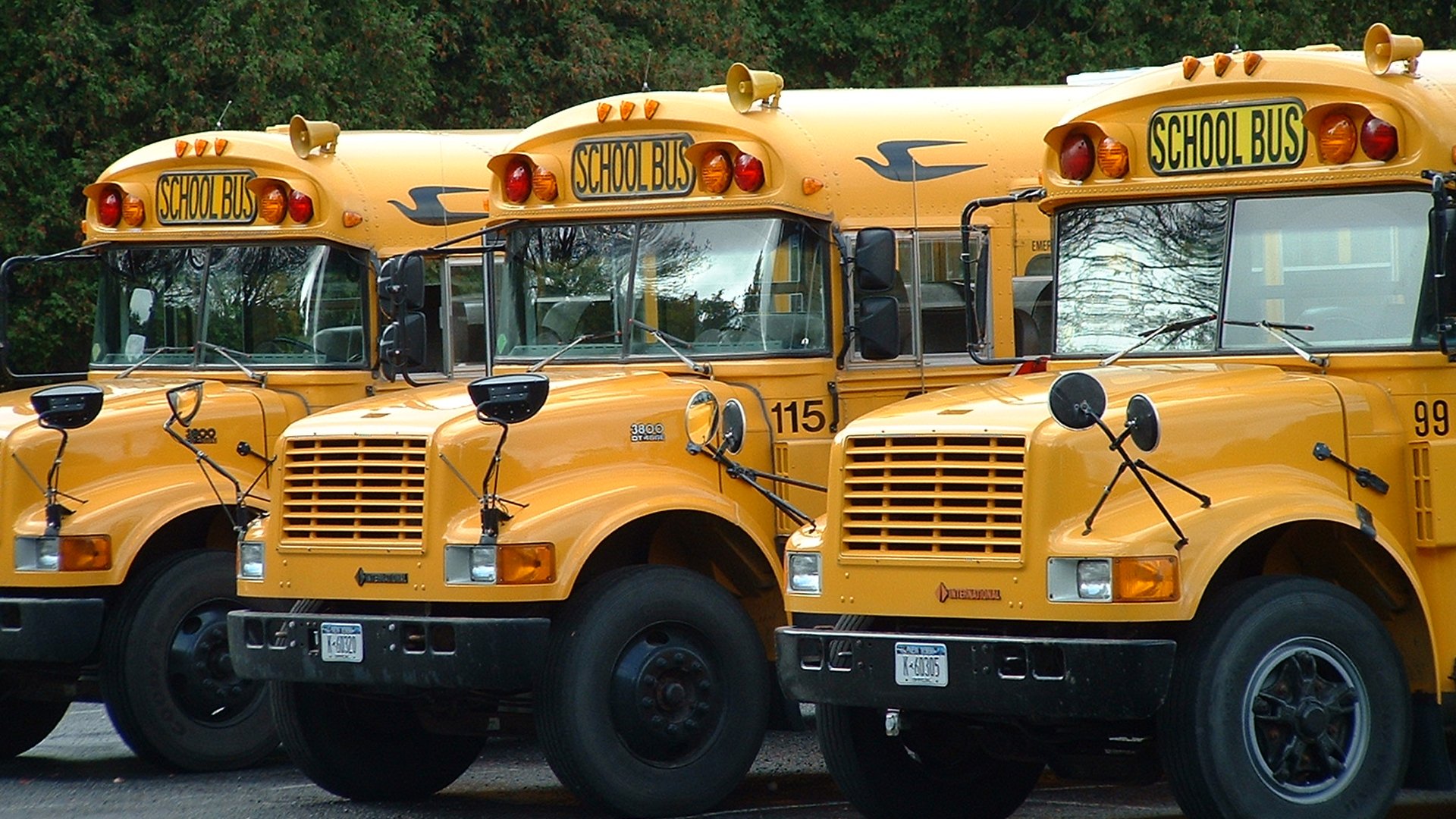 autobuses, Escolares, Amarillos, Norteamericanos Wallpaper