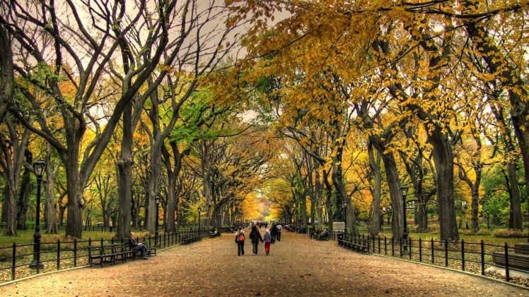central, Park, Autumn, Landscape, Nature, Beauty HD Wallpaper Desktop Background