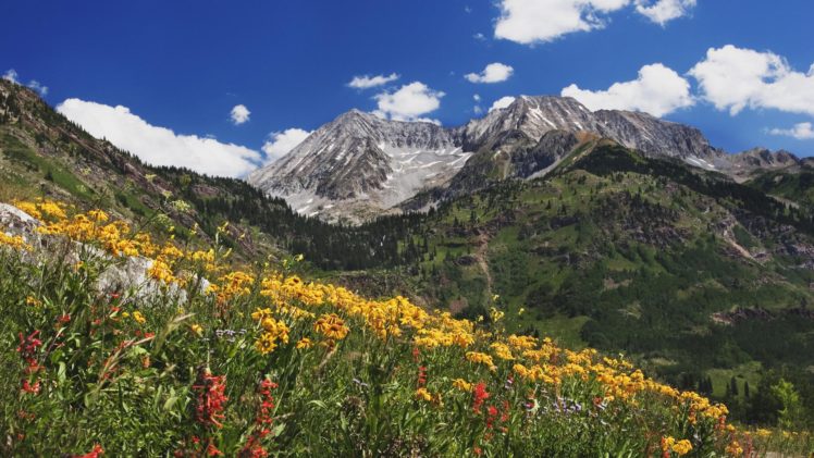 amazing, Landscape, Nature, Beauty, Spring, Wildflowers, In, Alpine, Meadow, At, Lead, King, Basin, Clouds HD Wallpaper Desktop Background