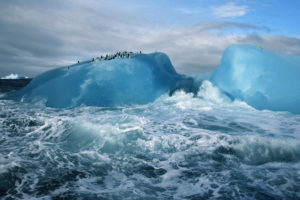 iceberg, Ice, Ocean, Sea, Waves, Birds, Penguins, Penguin