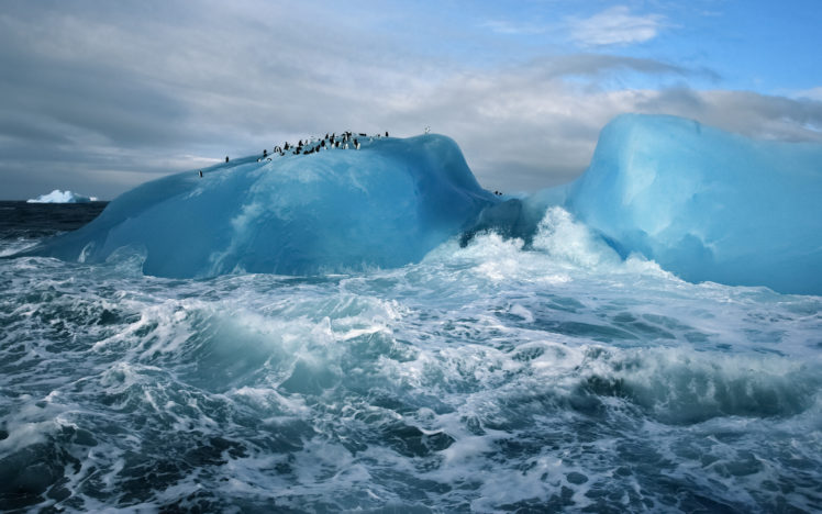 iceberg, Ice, Ocean, Sea, Waves, Birds, Penguins, Penguin HD Wallpaper Desktop Background