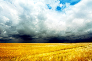 landscape, Wheat, Field, Storm, Clouds