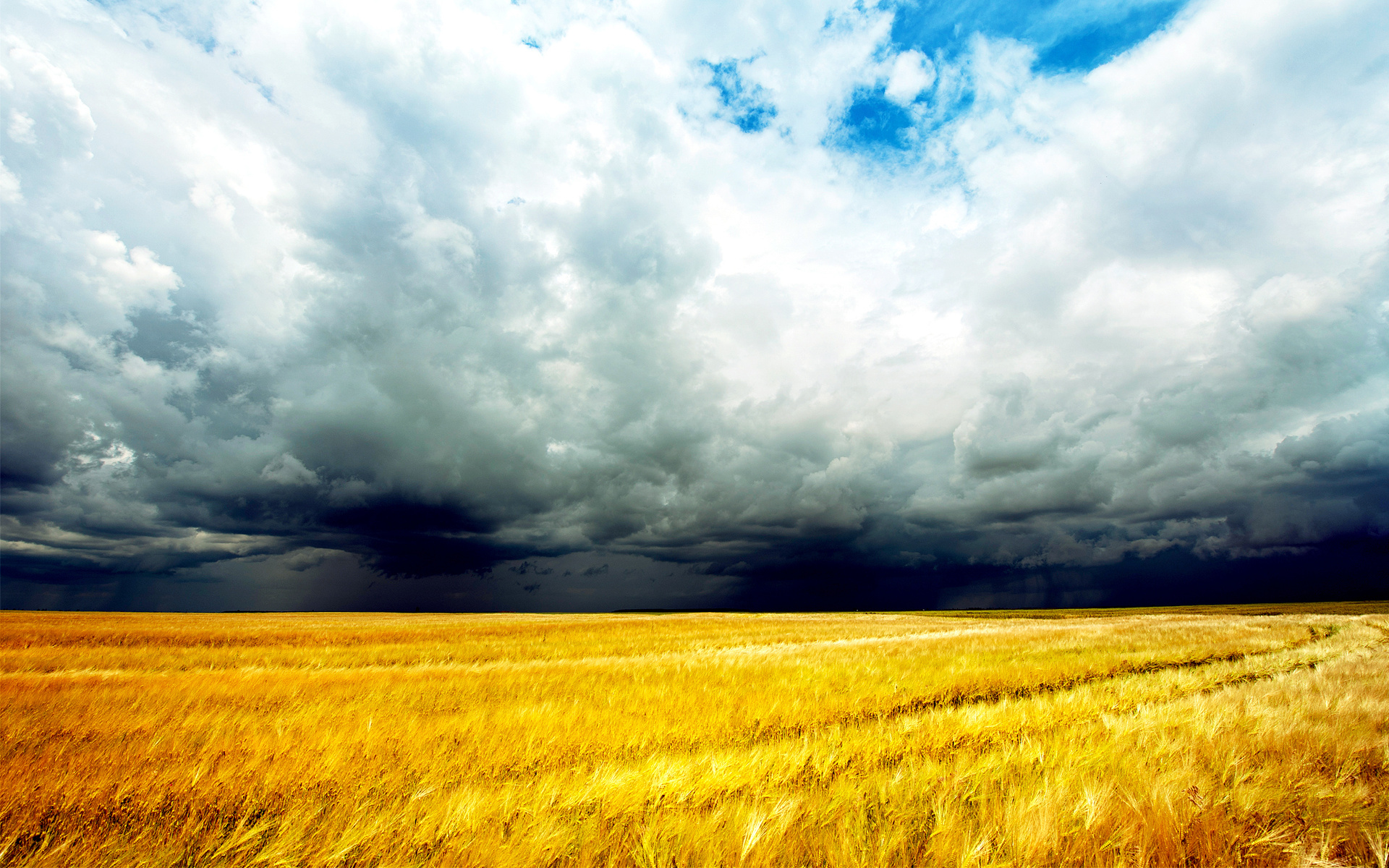 landscape, Wheat, Field, Storm, Clouds Wallpaper