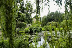 park, Pond, Trees, Branches, Landscape, Lakes, Lake