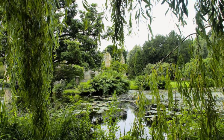 park, Pond, Trees, Branches, Landscape, Lakes, Lake HD Wallpaper Desktop Background