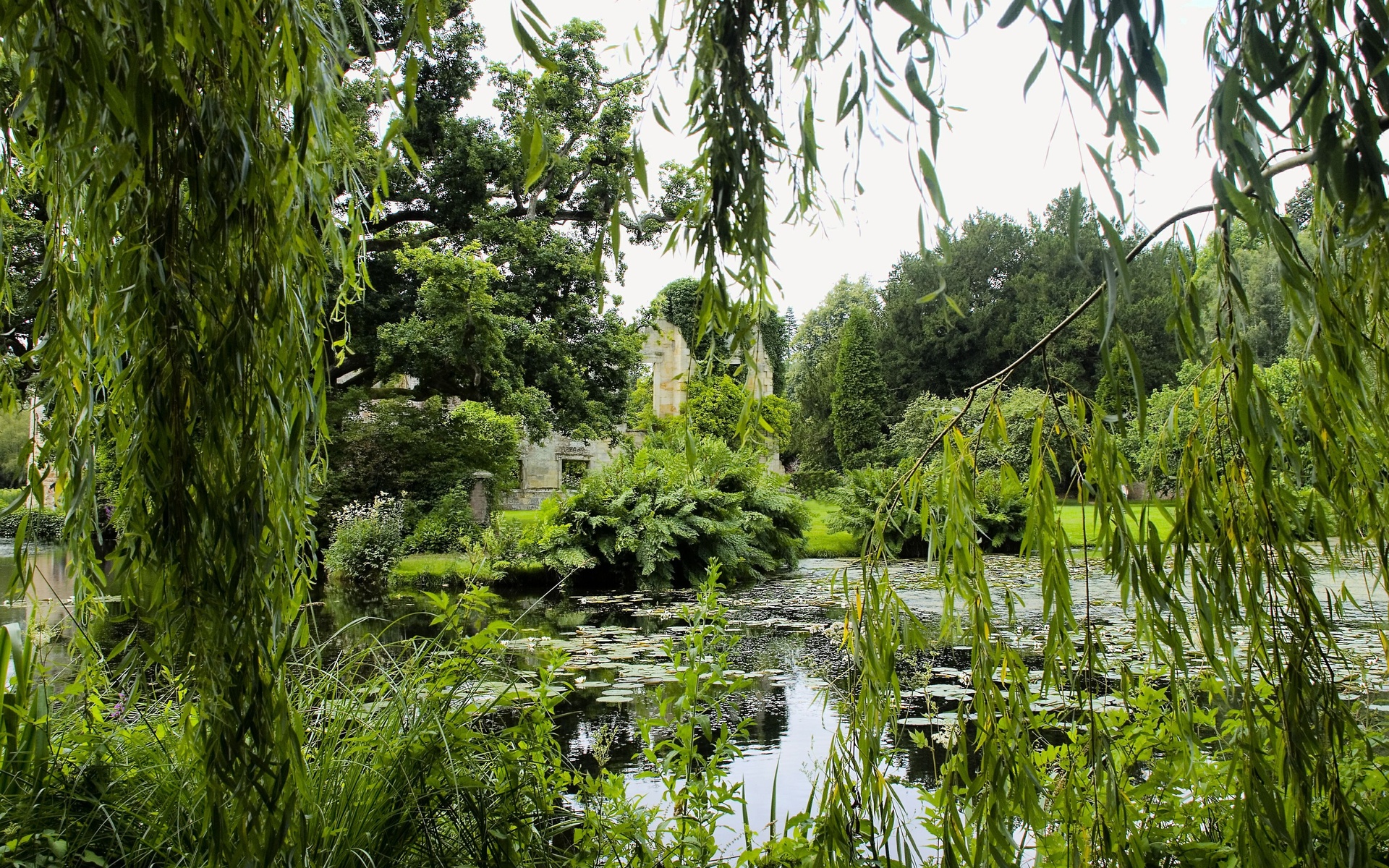 park, Pond, Trees, Branches, Landscape, Lakes, Lake Wallpaper