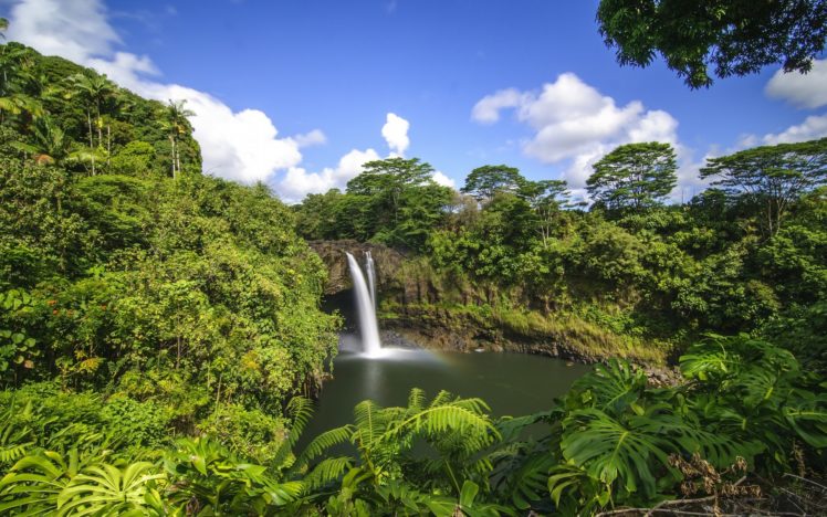 waterfall, Pool, Jungle, Forest HD Wallpaper Desktop Background