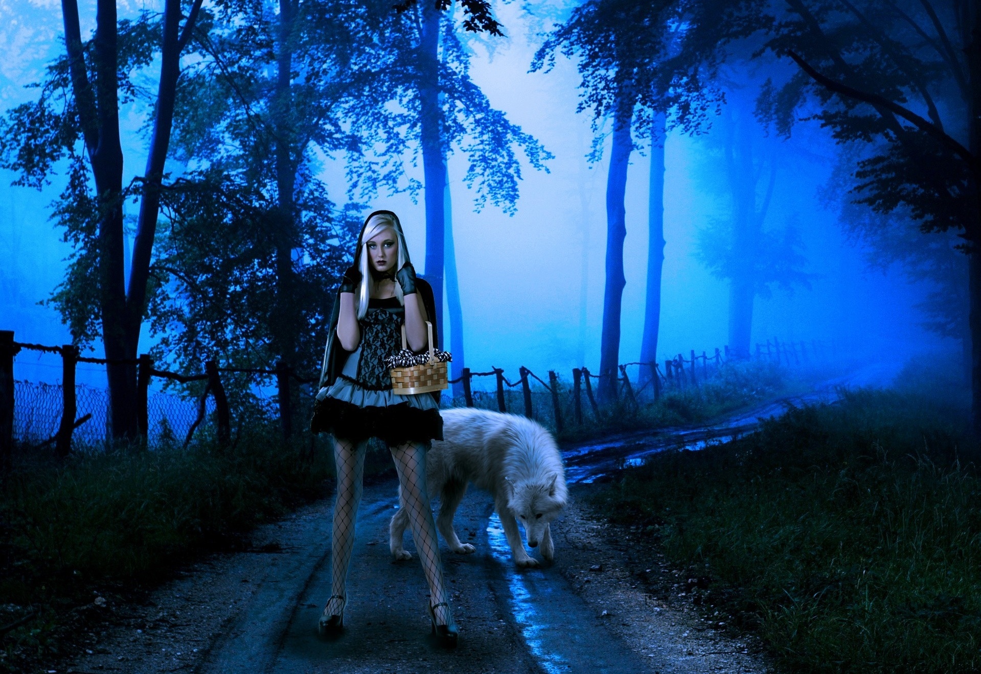 wolf, Night, Fantasy, Mood, Girl, Girls, Women, Wolves, Road, Forest, Gothic Wallpaper
