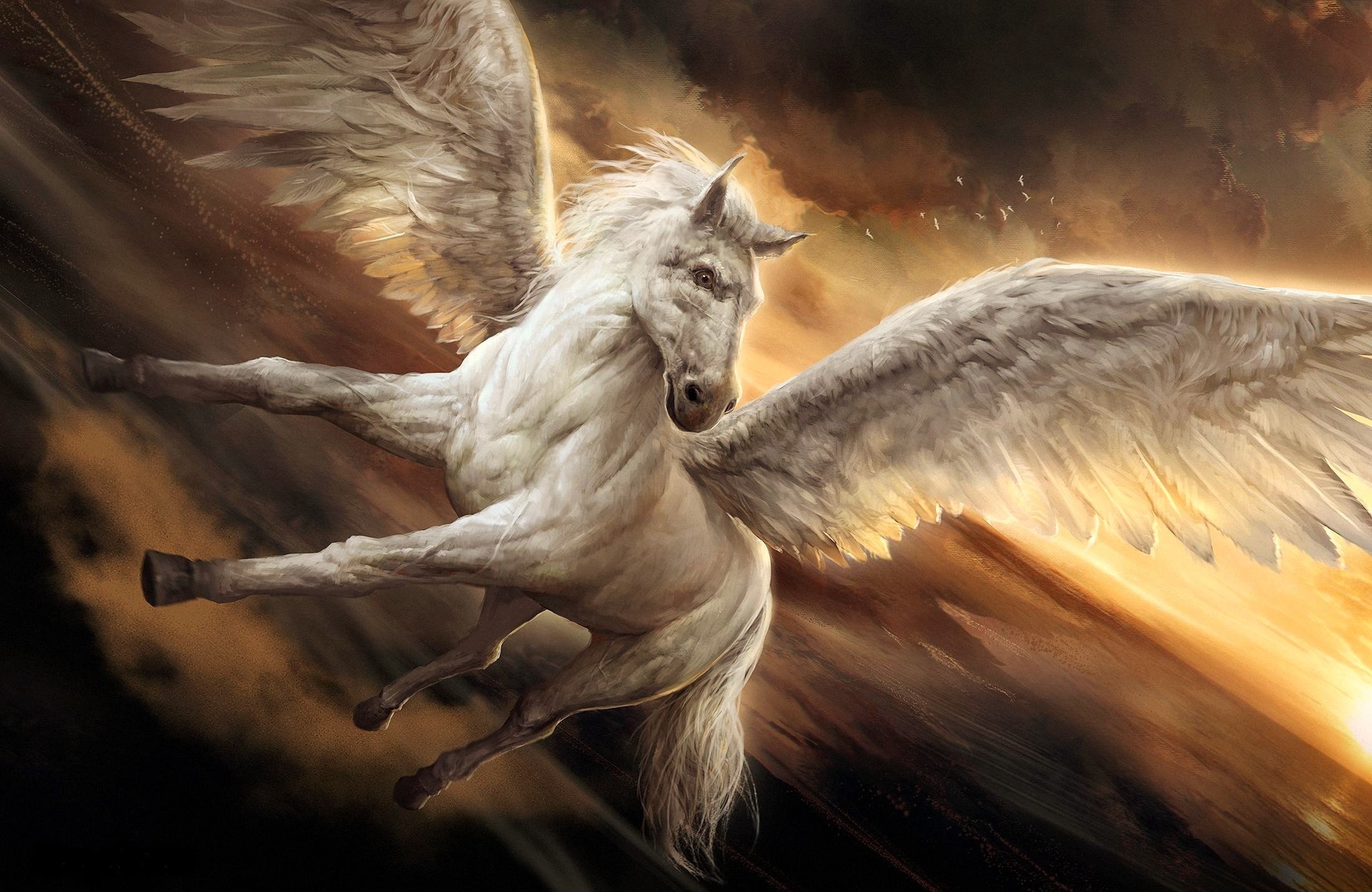 fantasy, Pegasus, Wings, Beauty, Horse, Beautiful Wallpaper