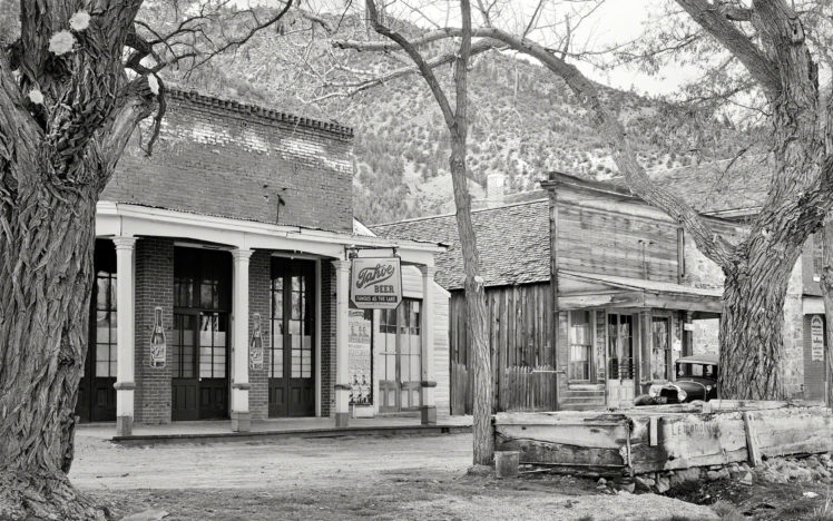 shop, Building, B w, Trees HD Wallpaper Desktop Background