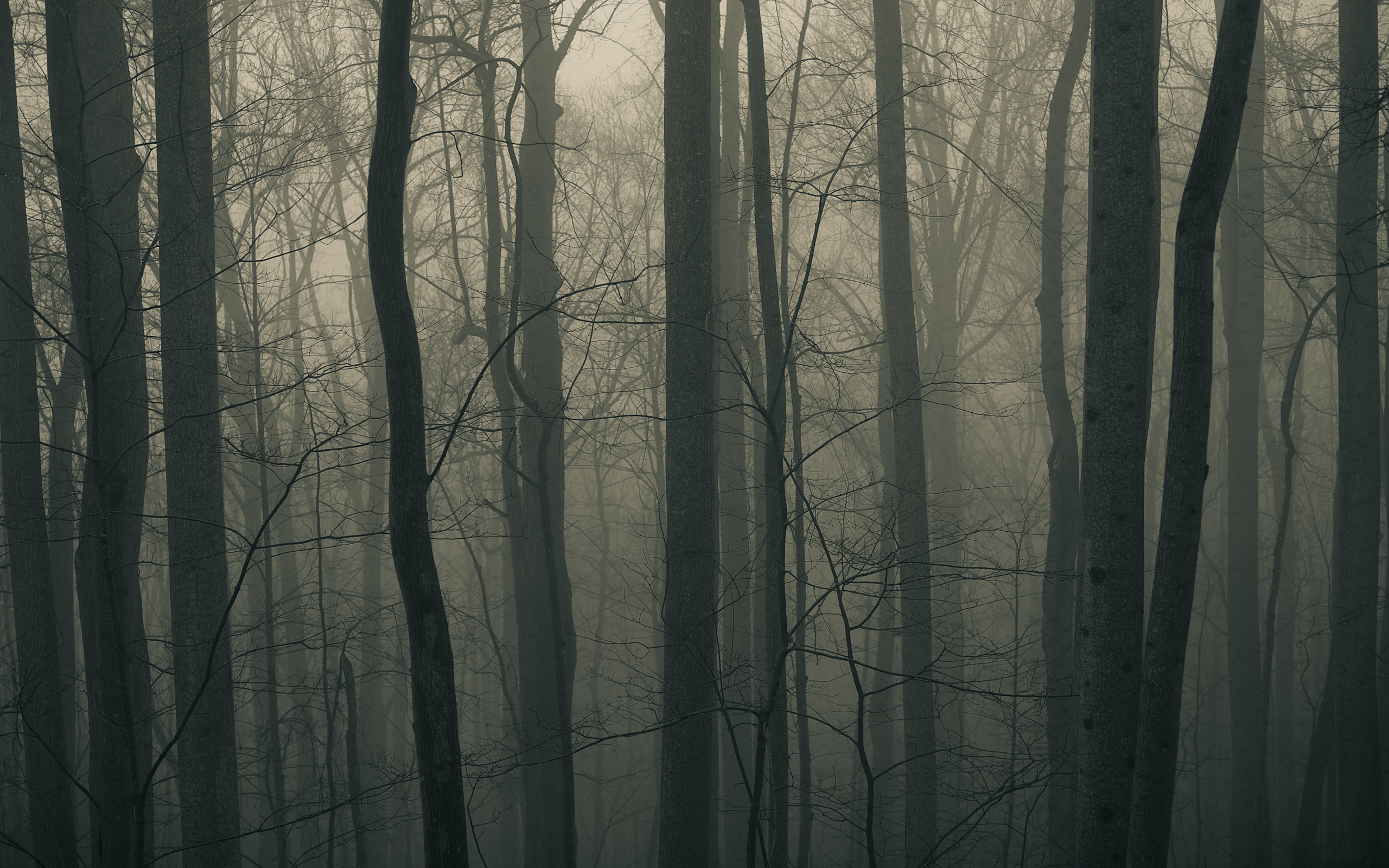 91682 Wallpaper