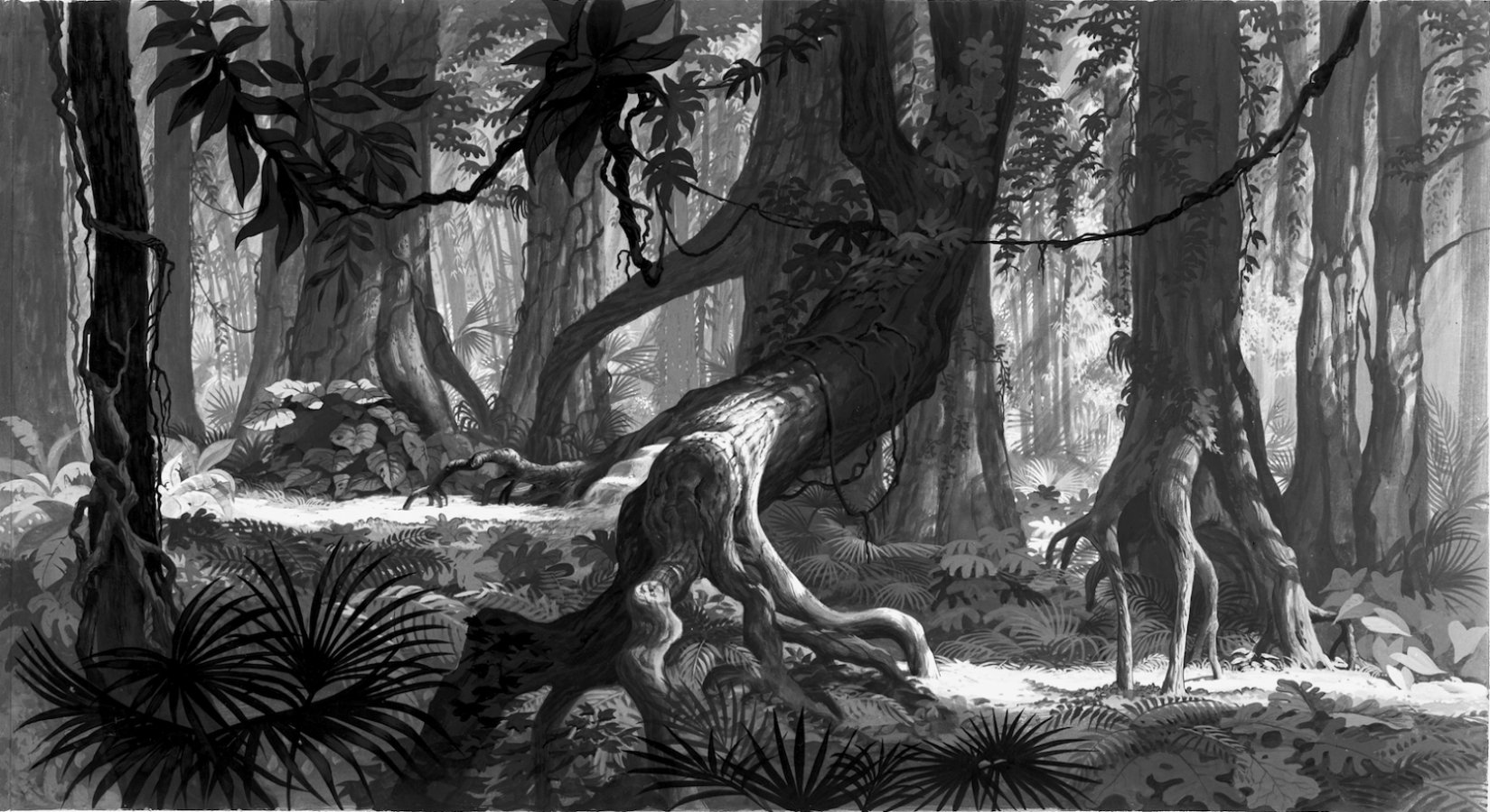 jungle, Book, Disney, Fantasy, Family, Cartoon, Comedy, Adventure, Drama, 1jbook Wallpaper