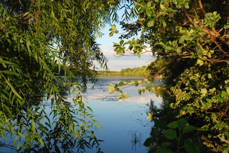 river, Lake, Water, Trees HD Wallpaper Desktop Background