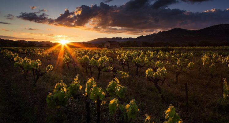 vineyard, House, Mountains, Clouds, Sunset HD Wallpaper Desktop Background