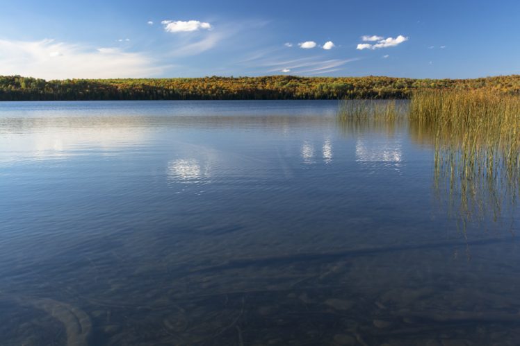 sky, Lake, Pond, Water, Plant HD Wallpaper Desktop Background