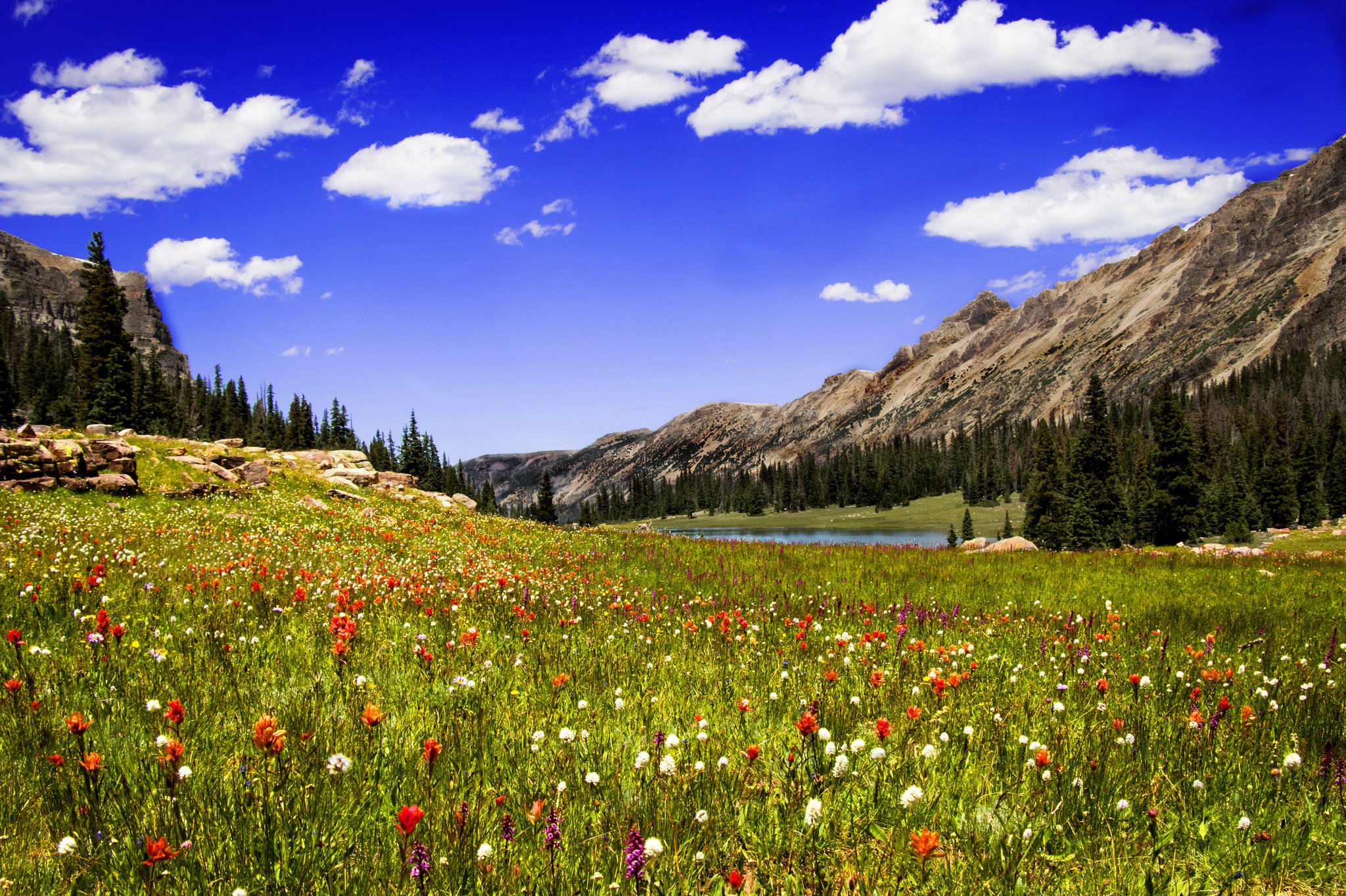 clouds, Mountains, Lake, Meadow, Grass, Flowers Wallpaper