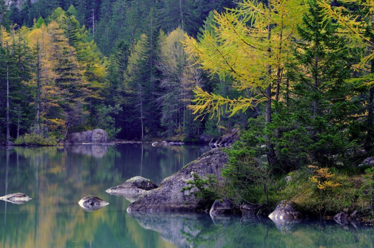 mountains, Forest, Trees, Autumn, Lake, Stones HD Wallpaper Desktop Background