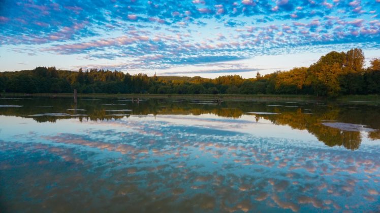 sky, Clouds, Trees, Autumn, Lake, Reflection HD Wallpaper Desktop Background