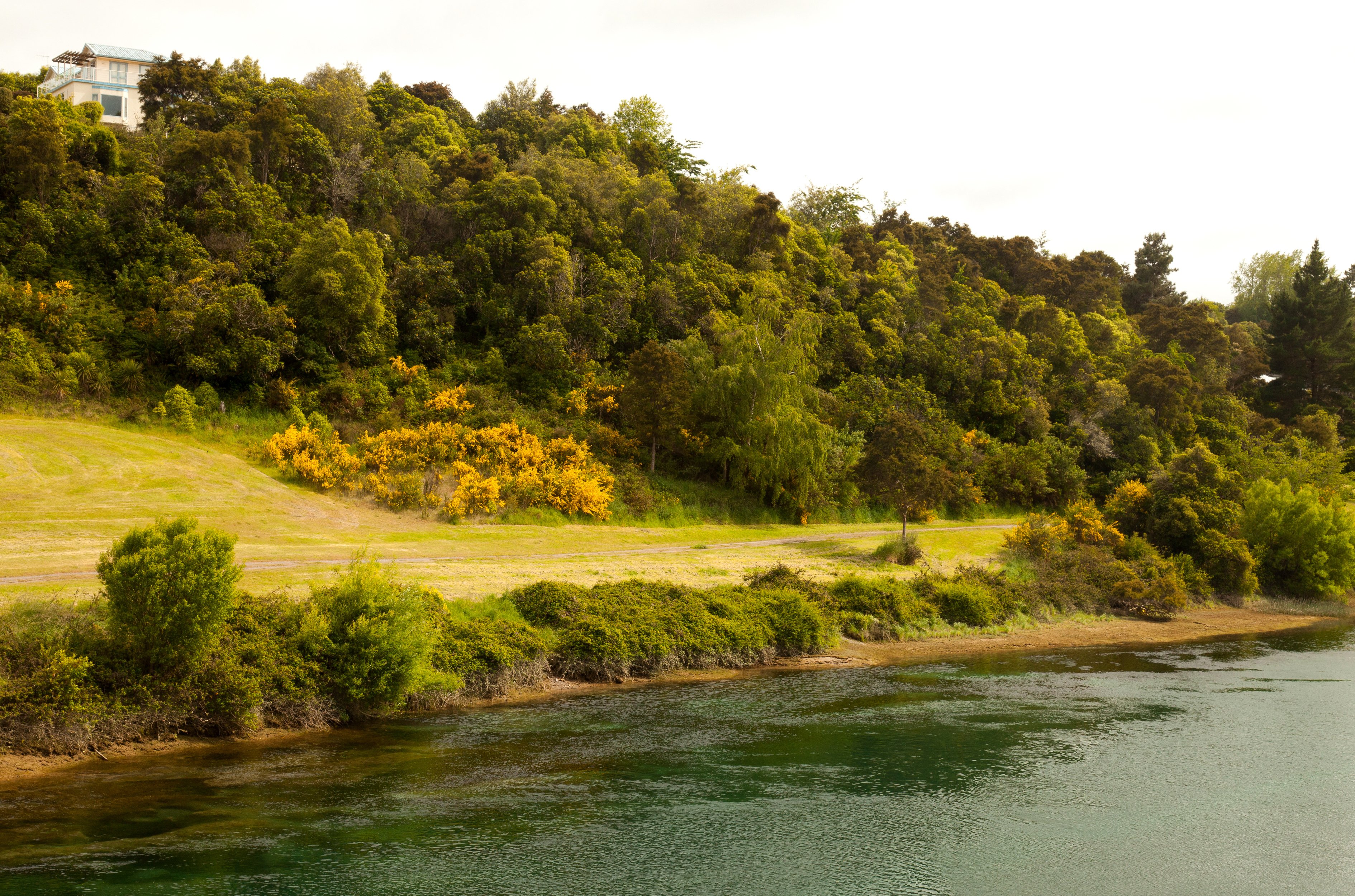 new, Zealand, Waikato, River, River, Shore, Slope, Road Wallpaper