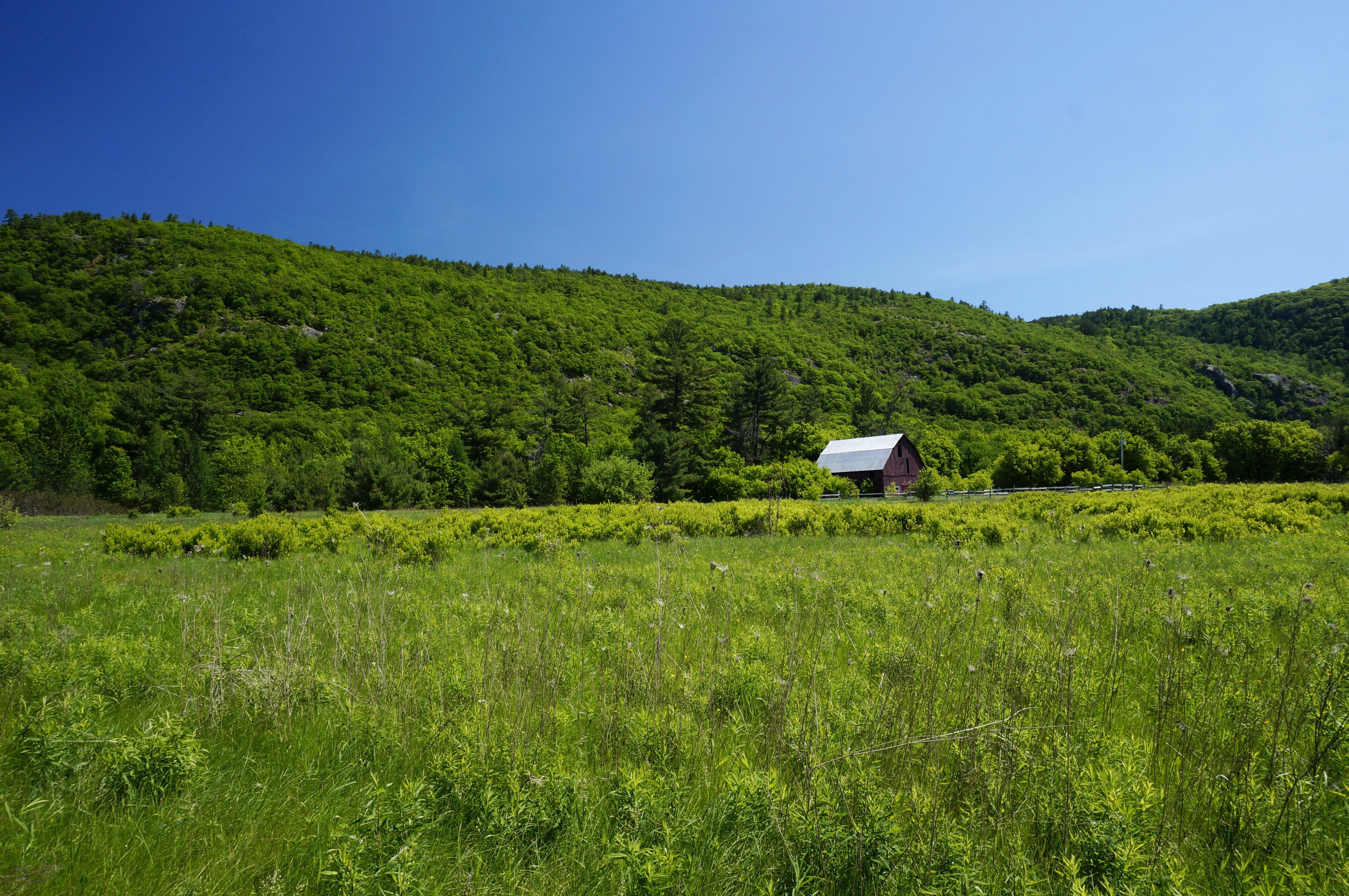 canada, Gatineau, Park, Field, Hills, Grass, Trees, Herbs, House Wallpaper