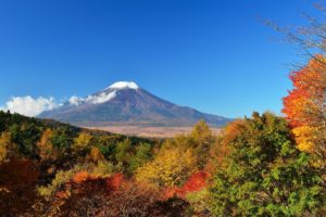 japan, Mount, Fuji, Sky, Trees, Leaves, Autumn