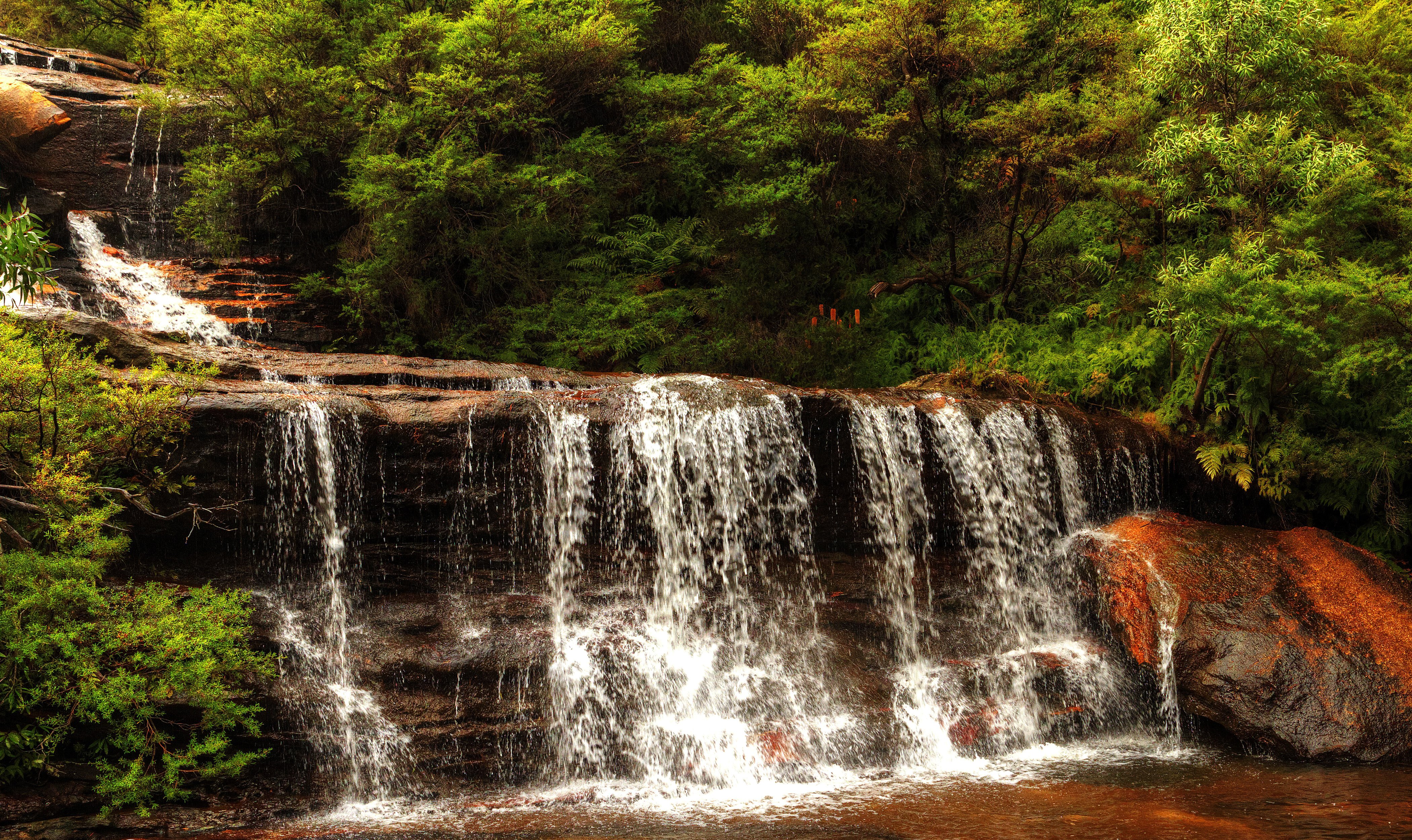 australia, Wentworth, Falls, Waterfall, Cascade, Stream, Rocks, Bushes Wallpaper