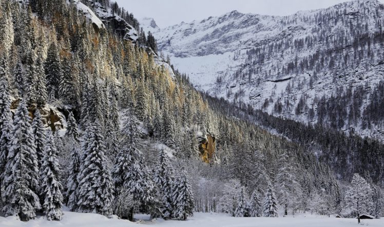 mountains, Snow, Trees, Forest, Rock, House, Winter HD Wallpaper Desktop Background