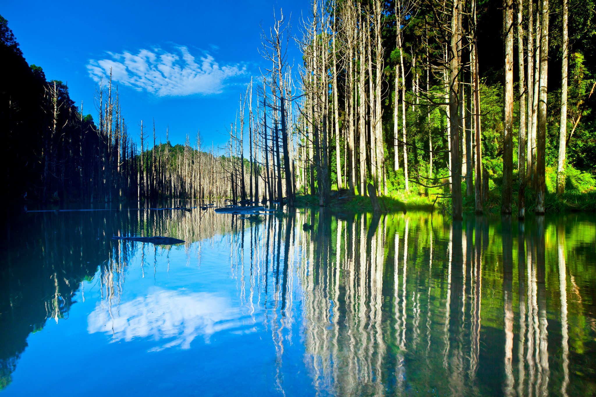 sky, Mountains, Lake, Trees, Reflection Wallpaper