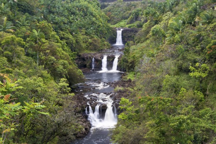 hawaii, Forest, River, Waterfall, Cascade HD Wallpaper Desktop Background