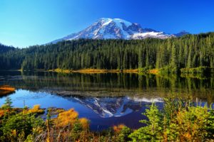 mount, Rainier, National, Park, Reflection, Lake, Forest, Lake, Mountains, Water, Reflection, Trees, Autumn