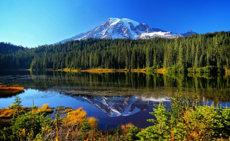 mount, Rainier, National, Park, Reflection, Lake, Forest, Lake, Mountains, Water, Reflection, Trees, Autumn HD Wallpaper Desktop Background