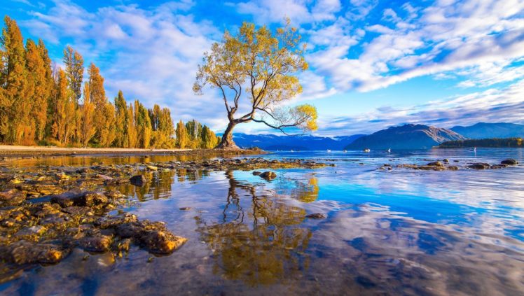 tree, Lake, Water, Reflection, Rocks, Forest, Mountains HD Wallpaper Desktop Background