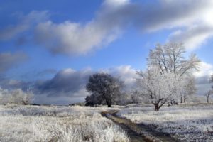 winter, Nature, Landscape