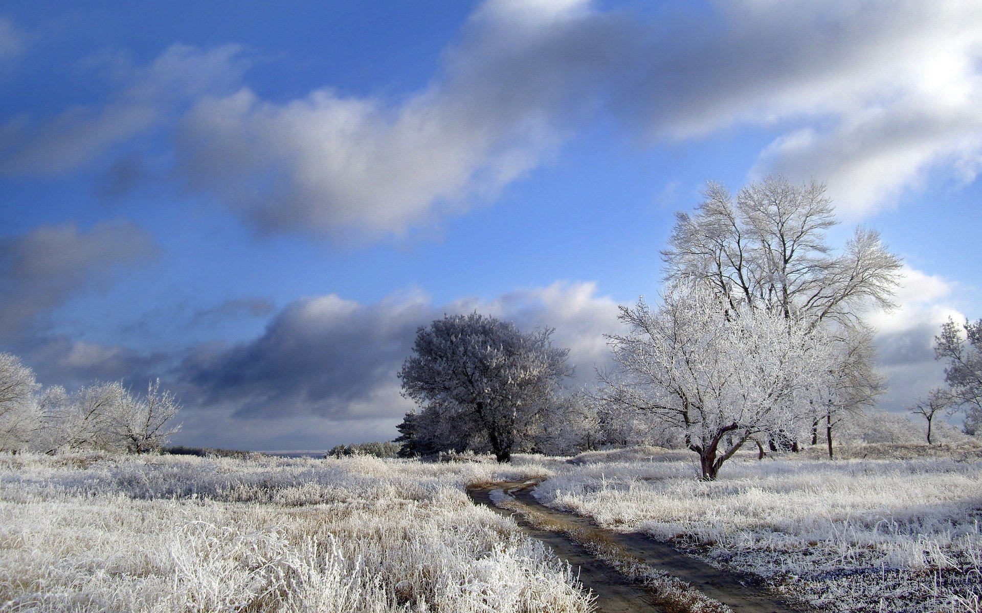 winter, Nature, Landscape Wallpaper