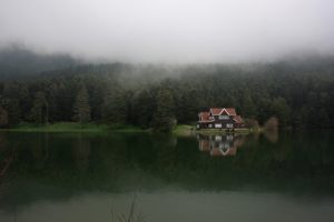 house, Lake, Nature, Fog