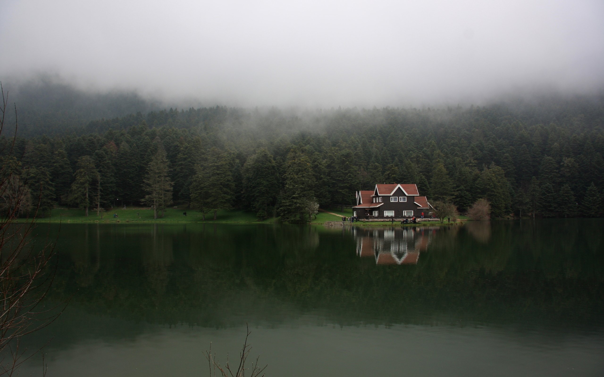 house, Lake, Nature, Fog Wallpaper