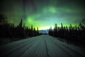 northern, Lights, Road, Pine