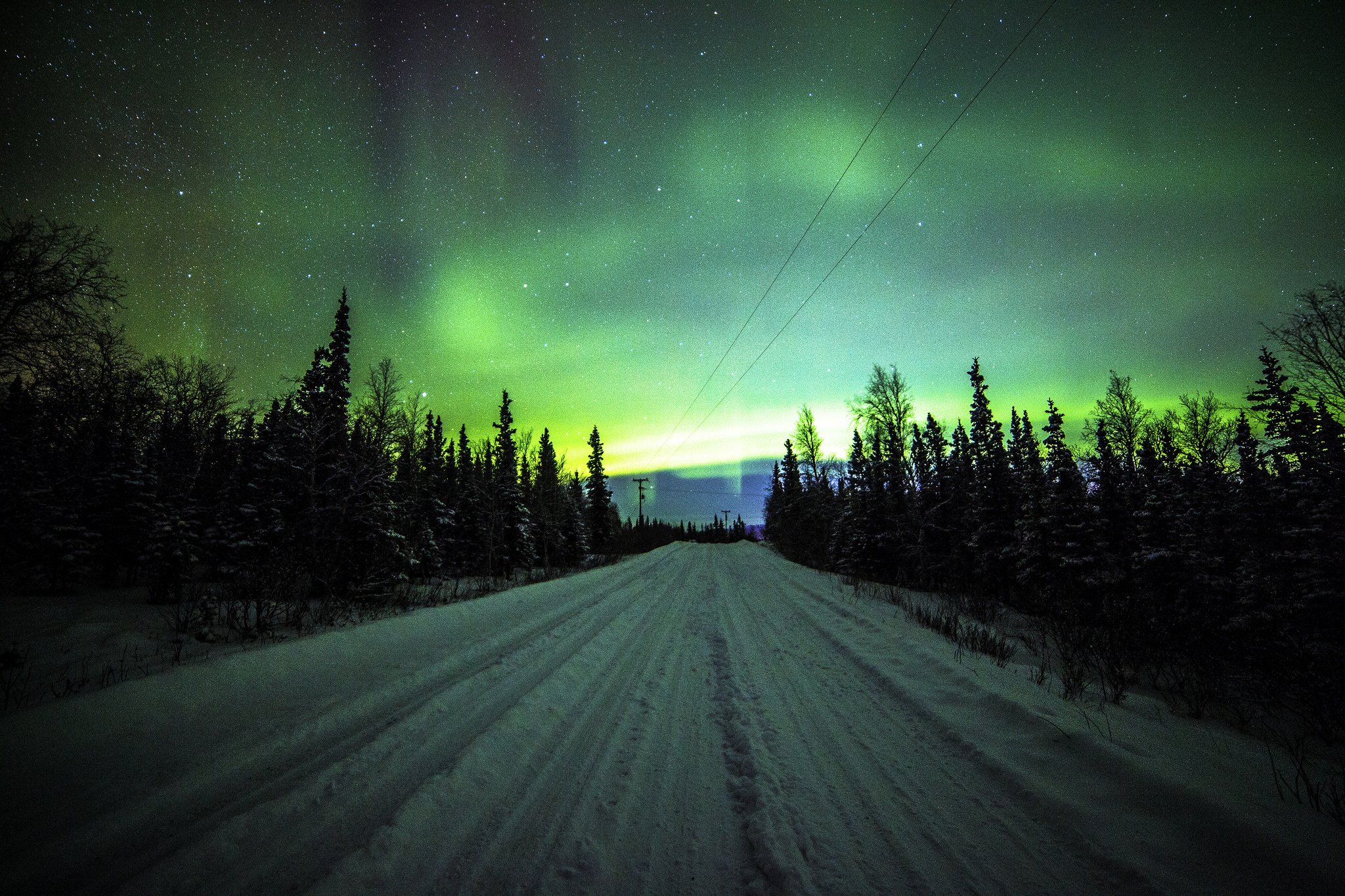 northern, Lights, Road, Pine Wallpaper