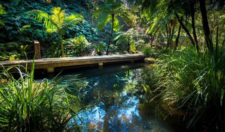 australia, Parks, Pond, Shrubs, Brisbane, Queensland, Nature HD Wallpaper Desktop Background