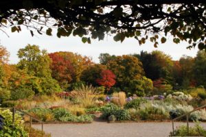 germany, Parks, Autumn, Shrubs, Trees, Grugapark, Essen