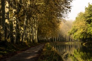france, Rivers, Trees, Castelnaudary, Nature