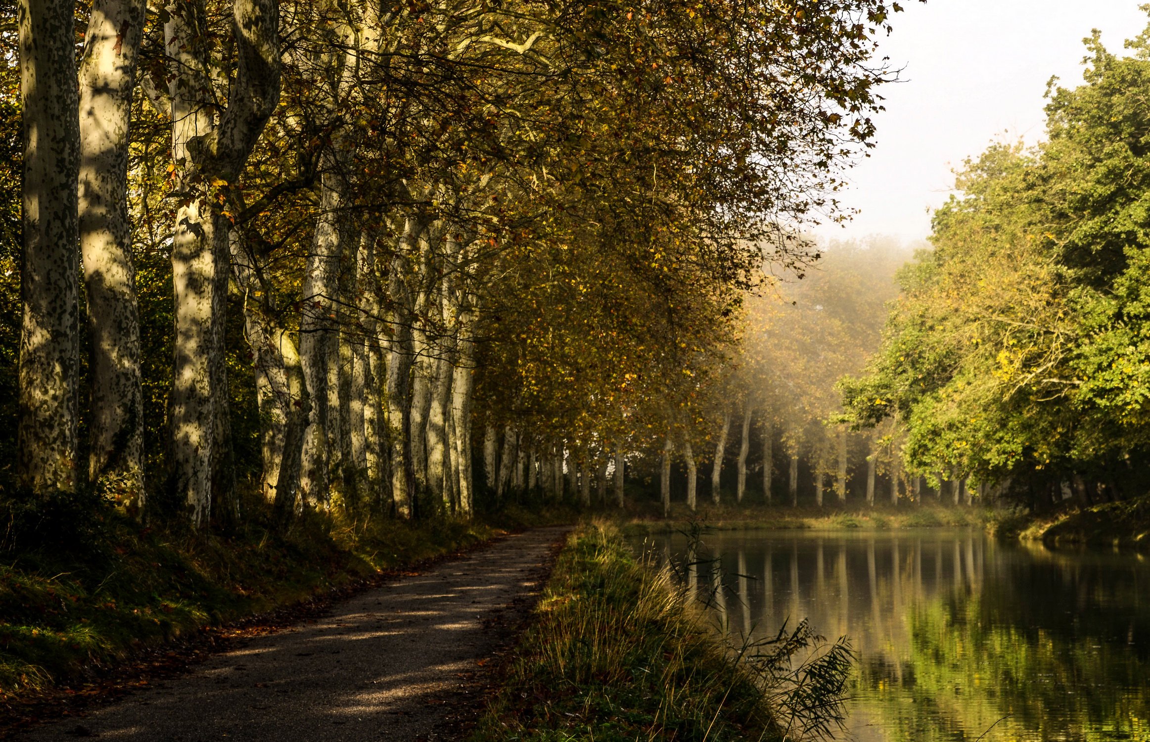 france, Rivers, Trees, Castelnaudary, Nature Wallpaper