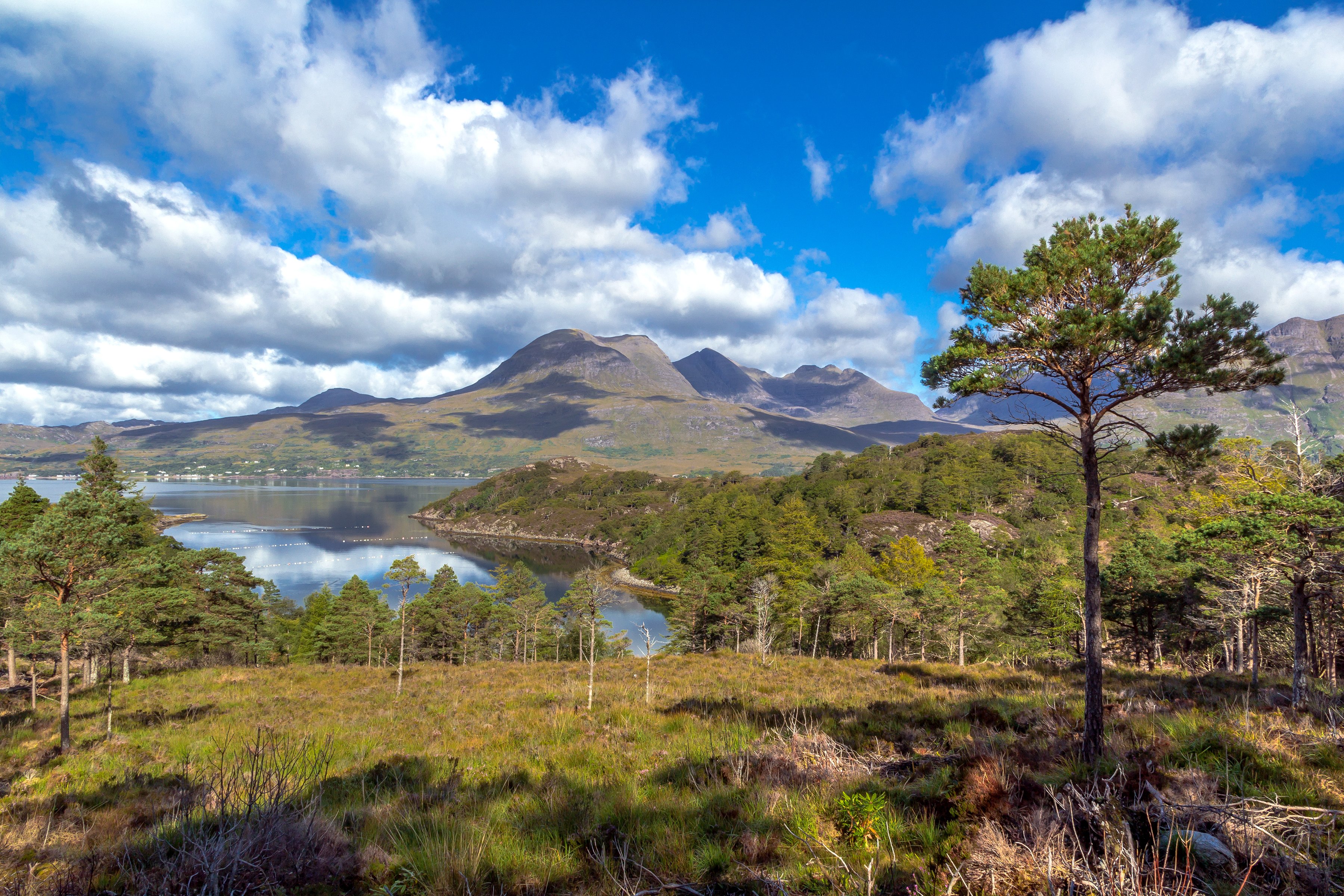 scotland, Scenery, Lake, Mountains, Clouds, Trees, Upper, Loch, Torridon, Nature Wallpaper