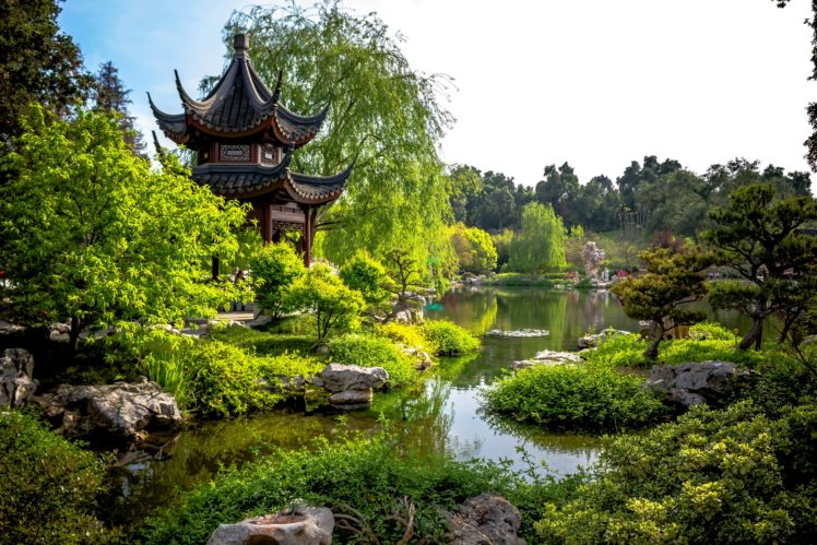 usa, Gardens, Pagodas, Pond, California, Trees, Huntington, Botanical, Gardens, San, Marino, Nature HD Wallpaper Desktop Background