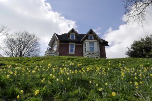 houses, Daffodils, Grass, Nature
